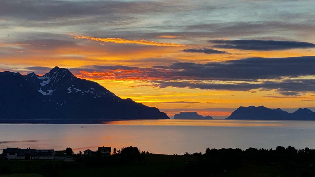 Lyngenview Villa Rotsund Exteriör bild