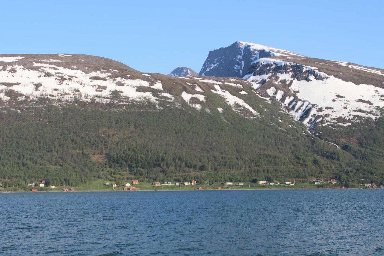 Lyngenview Villa Rotsund Exteriör bild